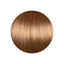 8.00 Rubio Claro - Gamma Color