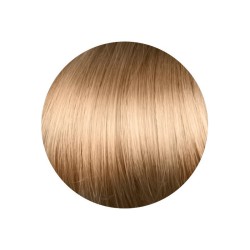 8.03 Rubio Claro Natural Dorado - Gamma Color