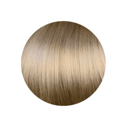 9.10 Rubio Muy Claro Ceniza - Gamma Color