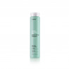 ABH Detox Refresh Shampoo - ABH Always Beautiful Hair