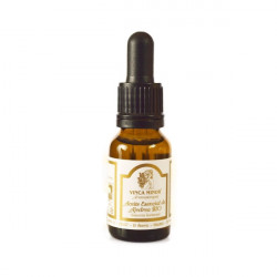 Esencia Ajedrea Bio - Esencias